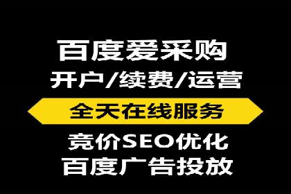 竞价代运营案例解析：中小企业如何快速崛起